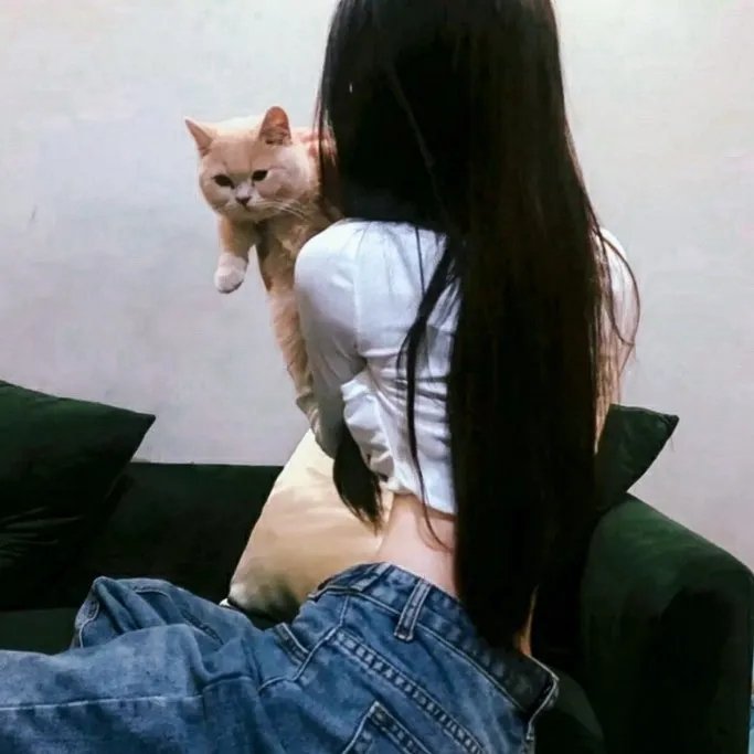 绝命毒师第四季